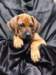 portrts8wochen017_small.jpg