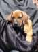 portrts8wochen018_small.jpg