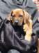 portrts8wochen019_small.jpg