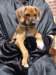 portrts8wochen020_small.jpg