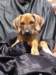 portrts8wochen021_small.jpg