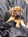 portrts8wochen022_small.jpg