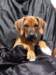 portrts8wochen023_small.jpg