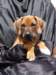 portrts8wochen024_small.jpg