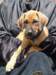 portrts8wochen025_small.jpg