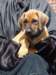 portrts8wochen026_small.jpg