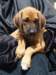 portrts8wochen027_small.jpg