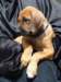 portrts8wochen028_small.jpg