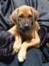 portrts8wochen029_small.jpg
