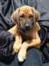 portrts8wochen030_small.jpg