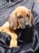 portrts8wochen031_small.jpg
