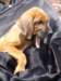 portrts8wochen032_small.jpg
