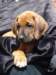 portrts8wochen033_small.jpg