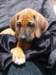 portrts8wochen034_small.jpg