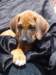 portrts8wochen035_small.jpg