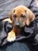 portrts8wochen036_small.jpg