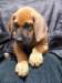 portrts8wochen037_small.jpg
