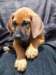 portrts8wochen038_small.jpg