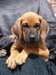 portrts8wochen039_small.jpg