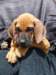 portrts8wochen040_small.jpg