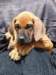 portrts8wochen041_small.jpg