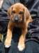 portrts8wochen042_small.jpg