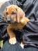 portrts8wochen044_small.jpg