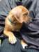 portrts8wochen045_small.jpg