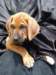 portrts8wochen046_small.jpg