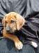 portrts8wochen047_small.jpg