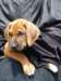 portrts8wochen048_small.jpg