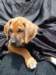 portrts8wochen049_small.jpg