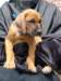 portrts8wochen050_small.jpg