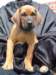 portrts8wochen051_small.jpg