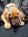 portrts8wochen053_small.jpg