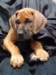 portrts8wochen054_small.jpg