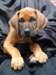 portrts8wochen055_small.jpg