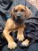 portrts8wochen056_small.jpg