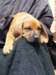 portrts8wochen057_small.jpg