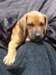 portrts8wochen058_small.jpg