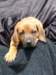 portrts8wochen059_small.jpg
