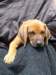 portrts8wochen060_small.jpg