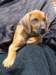 portrts8wochen061_small.jpg