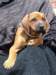 portrts8wochen062_small.jpg