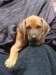 portrts8wochen063_small.jpg