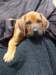 portrts8wochen064_small.jpg