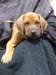 portrts8wochen065_small.jpg