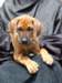 portrts8wochen066_small.jpg