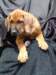 portrts8wochen067_small.jpg