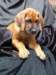 portrts8wochen068_small.jpg